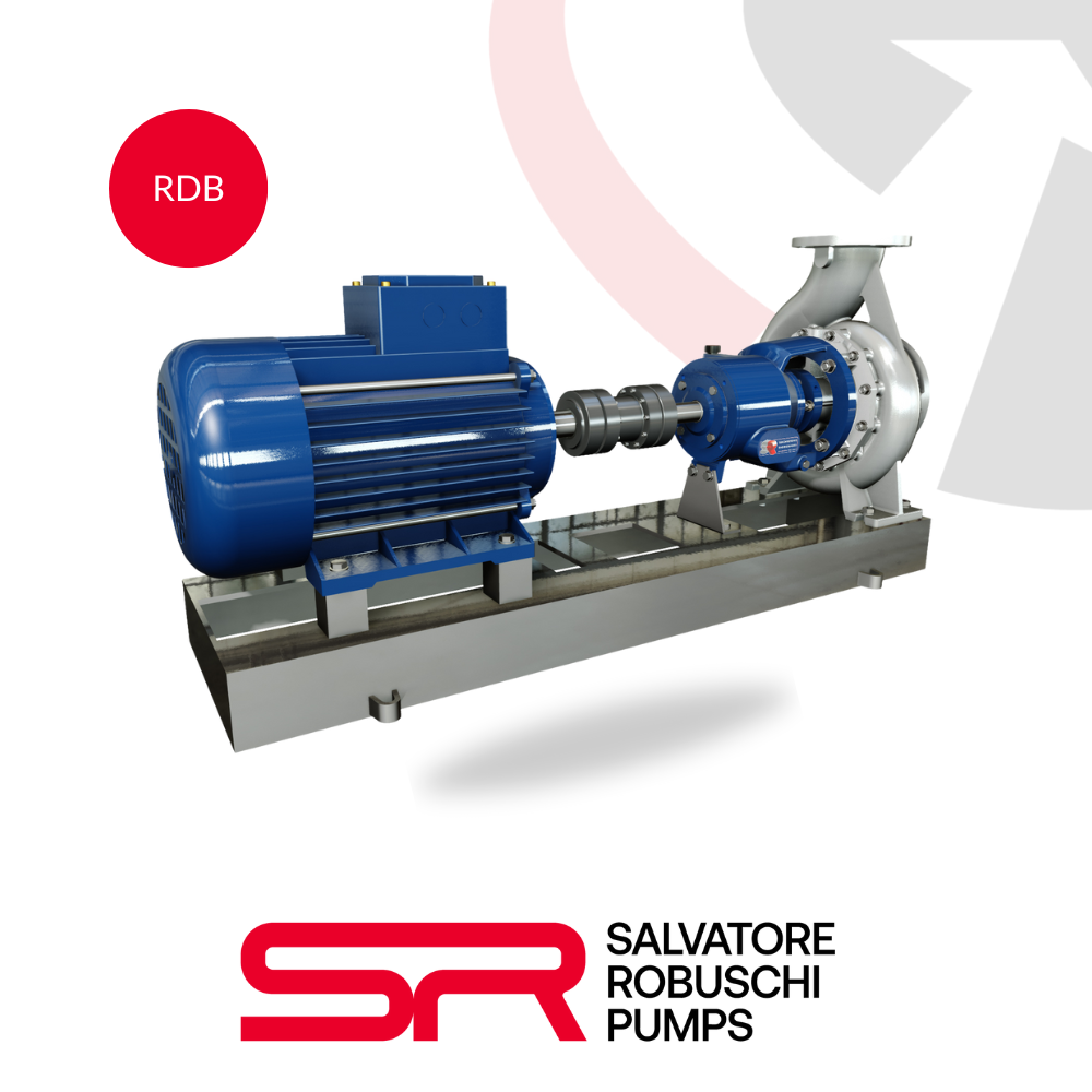 Salvatore Robuschi RD (RDB-RDL-RDM) Centrifugal Pumps with Closed Impeller