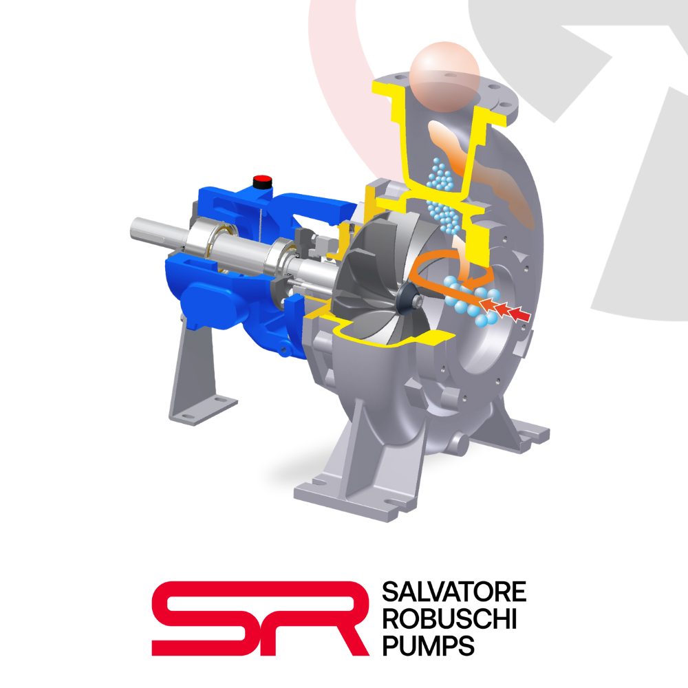 Salvatore Robuschi RG (RGB-RGL-RGM) Centrifugal Pumps with Open Impeller built according to ISO 2858-5199 norms.