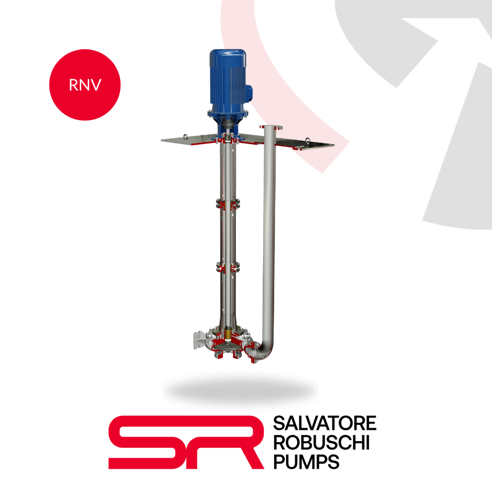 Salvatore Robuschi RNV vertical close-coupled centrifugal pump for industrial water transfer and process circulation.