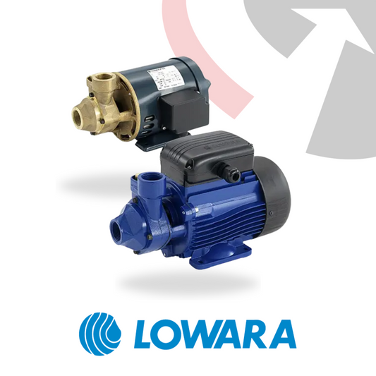 Two Lowara peripheral pumps, one with a bronze body and the other with a blue and black motor housing, against a white background with a graphic arrow and the Lowara logo.