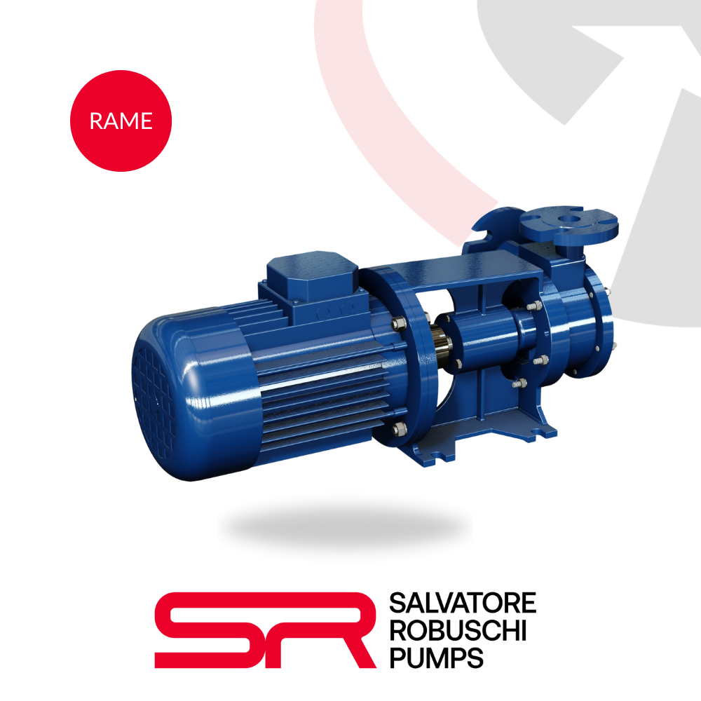 RAM (RAMD-RAME) Double-stage with peripheral impeller pumps. | Salvatore Robuschi Pumps