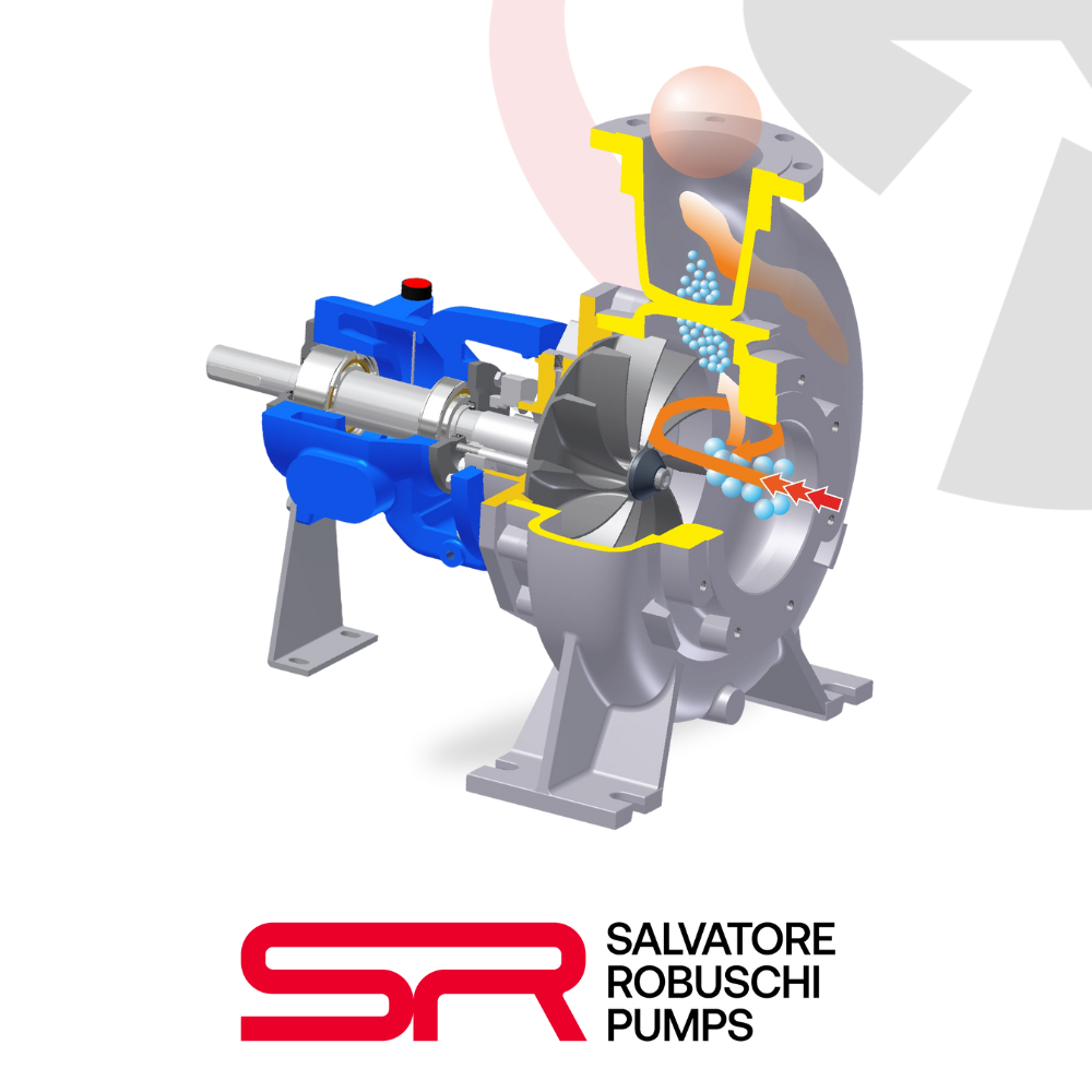 RG (RGB-RGL-RGM) Centrifugal pumps with open impeller built according to ISO 2858-5199 norms. | Salvatore Robuschi Pumps