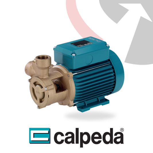 BTP | BTPM Calpeda Peripheral Pumps