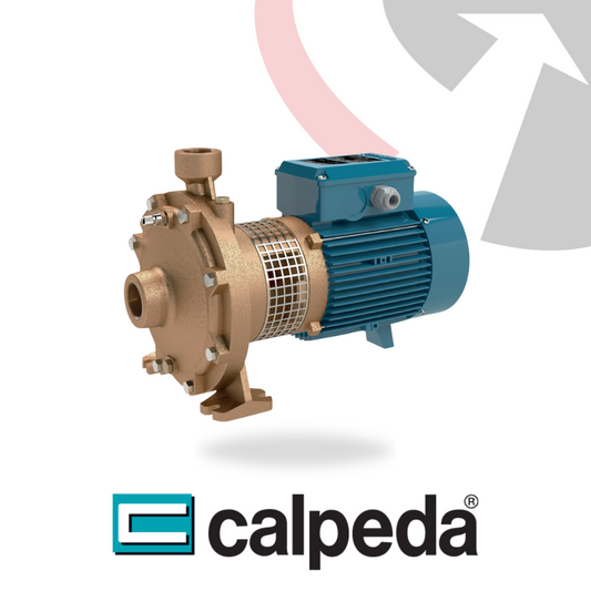 Calpeda BNMD | End Suction Centrifugal Pumps