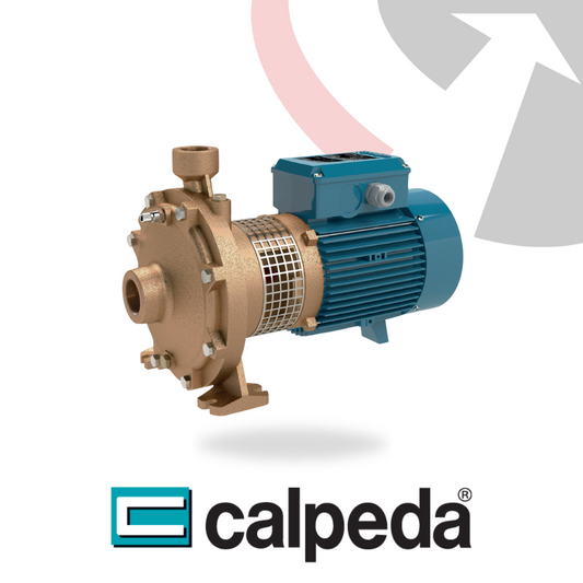 BNMD Calpeda End Suction Centrifugal Pumps