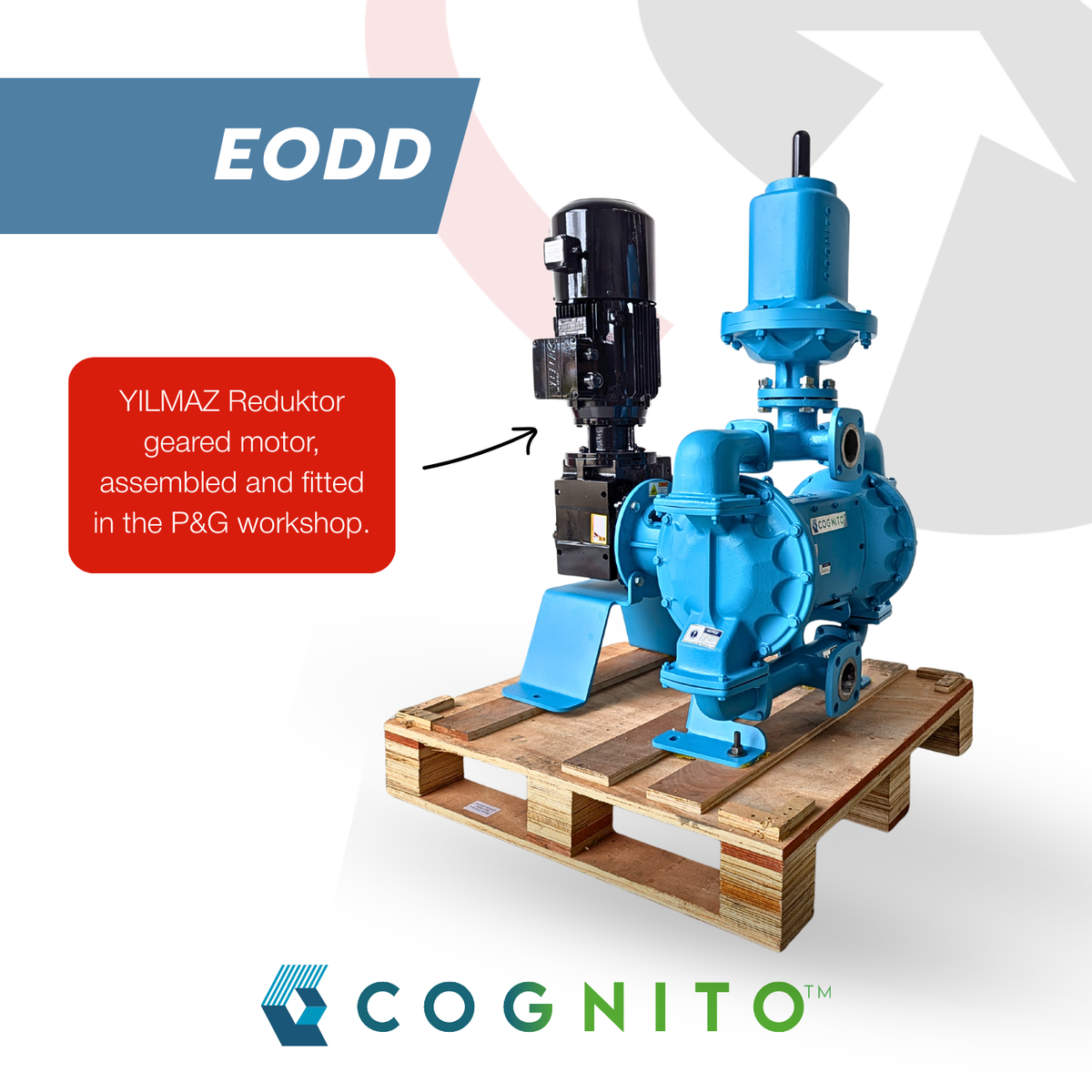 Cognito electric operated double diaphragm pump for industrial fluid transfer with energy-efficient operation in UK applications