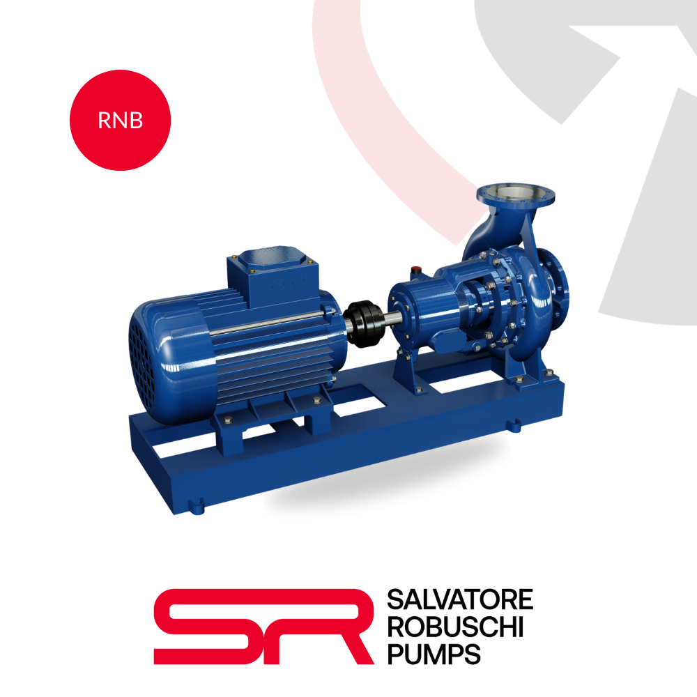 Salvatore Robuschi RN RNM RNL closed impeller centrifugal pump built to DIN 24255 for clean water and industrial process transfer.
rnb